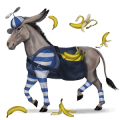 riding pegasus mustang dark bay