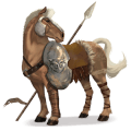 riding horse appaloosa bay spotted blanket 
