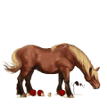 riding pegasus tennessee walker bay