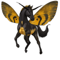 riding unicorn marwari cremello