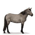 prehistoric horse tarpan