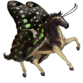 riding horse russian don horse chestnut