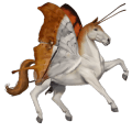 riding horse mangalarga marchador dapple gray