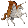 riding unicorn cremello tobiano