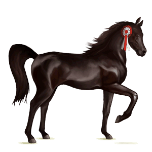 riding horse russian don horse flaxen chestnut 
