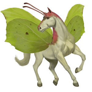 unicorn pony quarter pony bay
