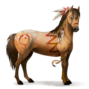 riding horse kwpn black