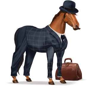 divine horse dr. watson
