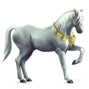 riding horse arabian horse fleabitten gray