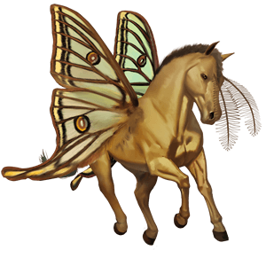 unicorn pony chincoteague pony fleabitten gray