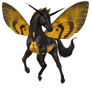 riding horse thoroughbred black