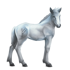 divine horse greyfell   1