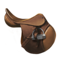 1* classical saddle