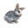 compagnon-lapin_v1549988514.png