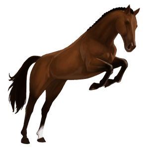 riding pegasus arabian horse mouse gray