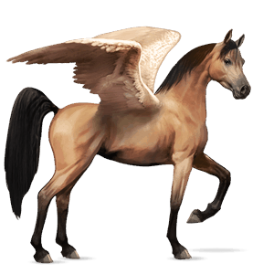 riding pegasus arabian horse dun