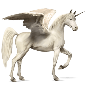 winged riding unicorn arabian horse dapple gray