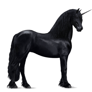 riding unicorn canadian horse black