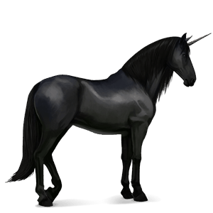 riding unicorn friesian black