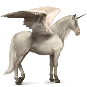 winged riding unicorn icelandic horse black