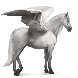 riding pegasus paint horse palomino tovero