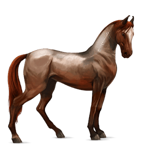 riding horse paint horse mouse gray tobiano