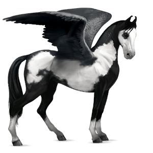 riding pegasus marwari dark bay