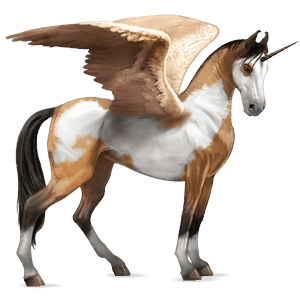 winged riding unicorn marwari dun overo