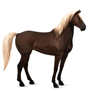 riding horse thoroughbred chestnut