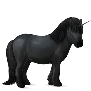 unicorn pony shetland black