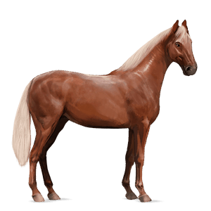 riding horse irish hunter flaxen chestnut