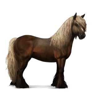 riding horse vanner flaxen liver chestnut 