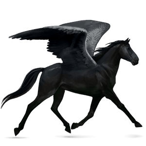 riding pegasus hackney black