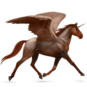winged riding unicorn arabian horse cherry bay