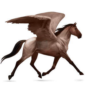 pegasus selle français roan
