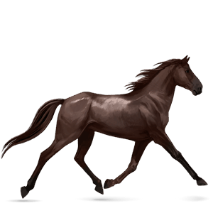 riding horse standardbred liver chestnut