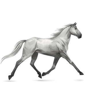 riding horse hackney light gray