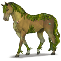 divine horse alga