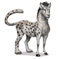 wild horse snow leopard