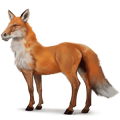 chimerique-renard.png