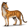 chimerique-tigre.png