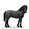 prehistoric horse forest horse