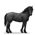 divine horse forest horse