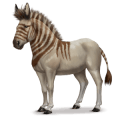 prehistoric horse hydruntine