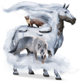 riding unicorn mustang dun