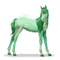 horse of the rainbow forest green