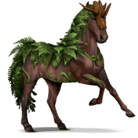 fern
