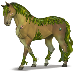 divine horse alga