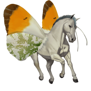 riding unicorn appaloosa bay spotted blanket 