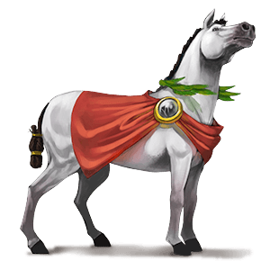riding horse thoroughbred cremello